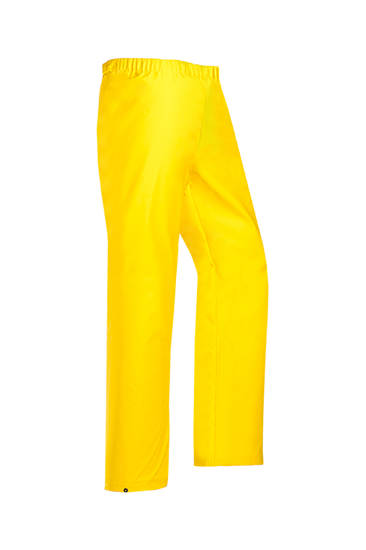 Y58
