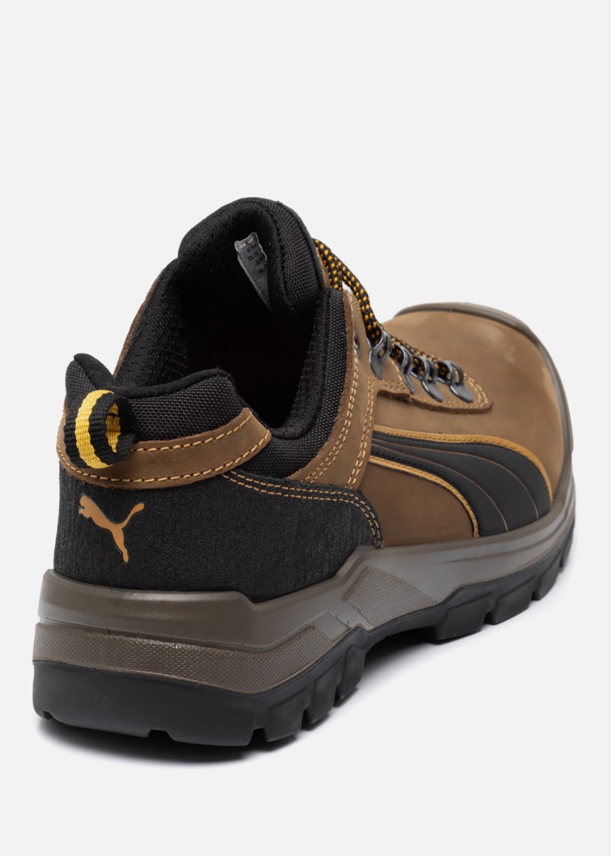 Puma\u0020Sierra\u0020Nevada\u0020Low\u0020S3\u0020\u0020thumbnail