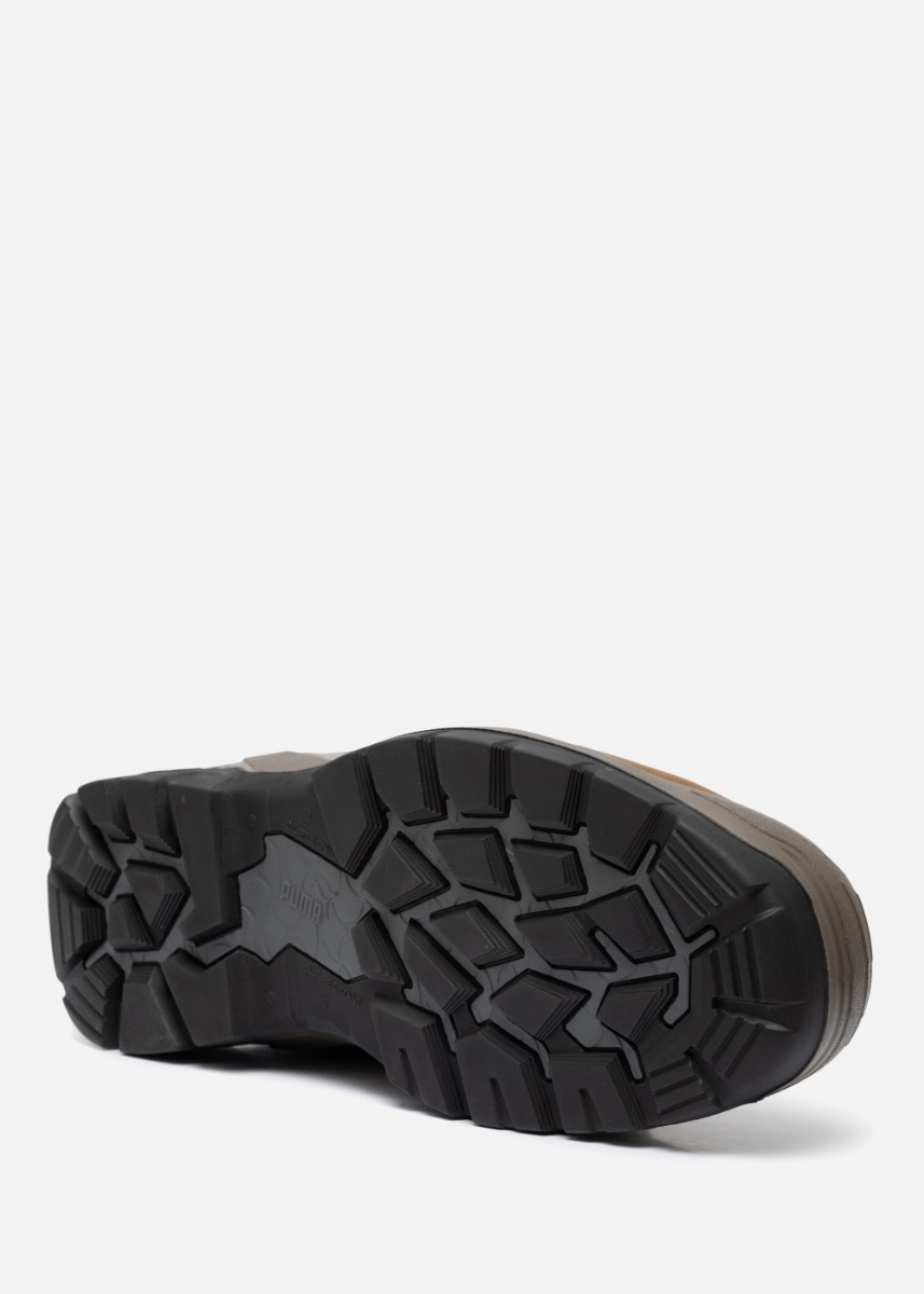 Puma\u0020Sierra\u0020Nevada\u0020Low\u0020S3\u0020\u0020thumbnail